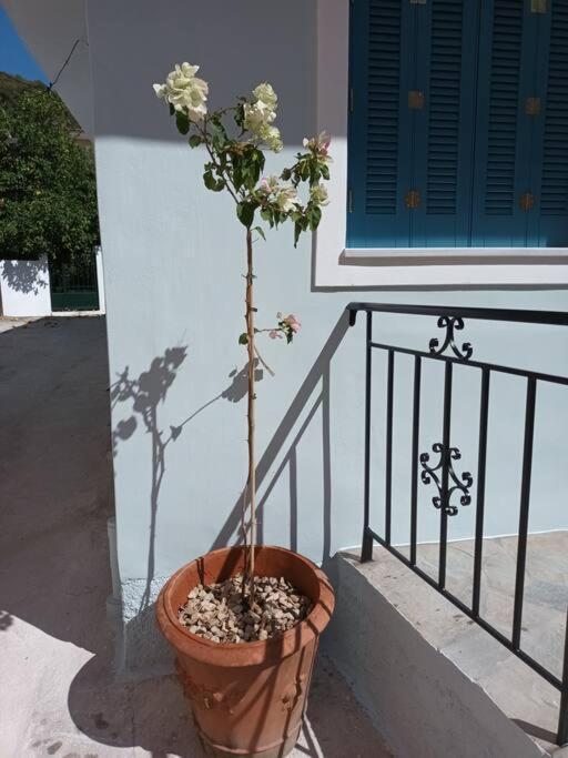 Studio Bella Epidaurus Eksteriør bilde